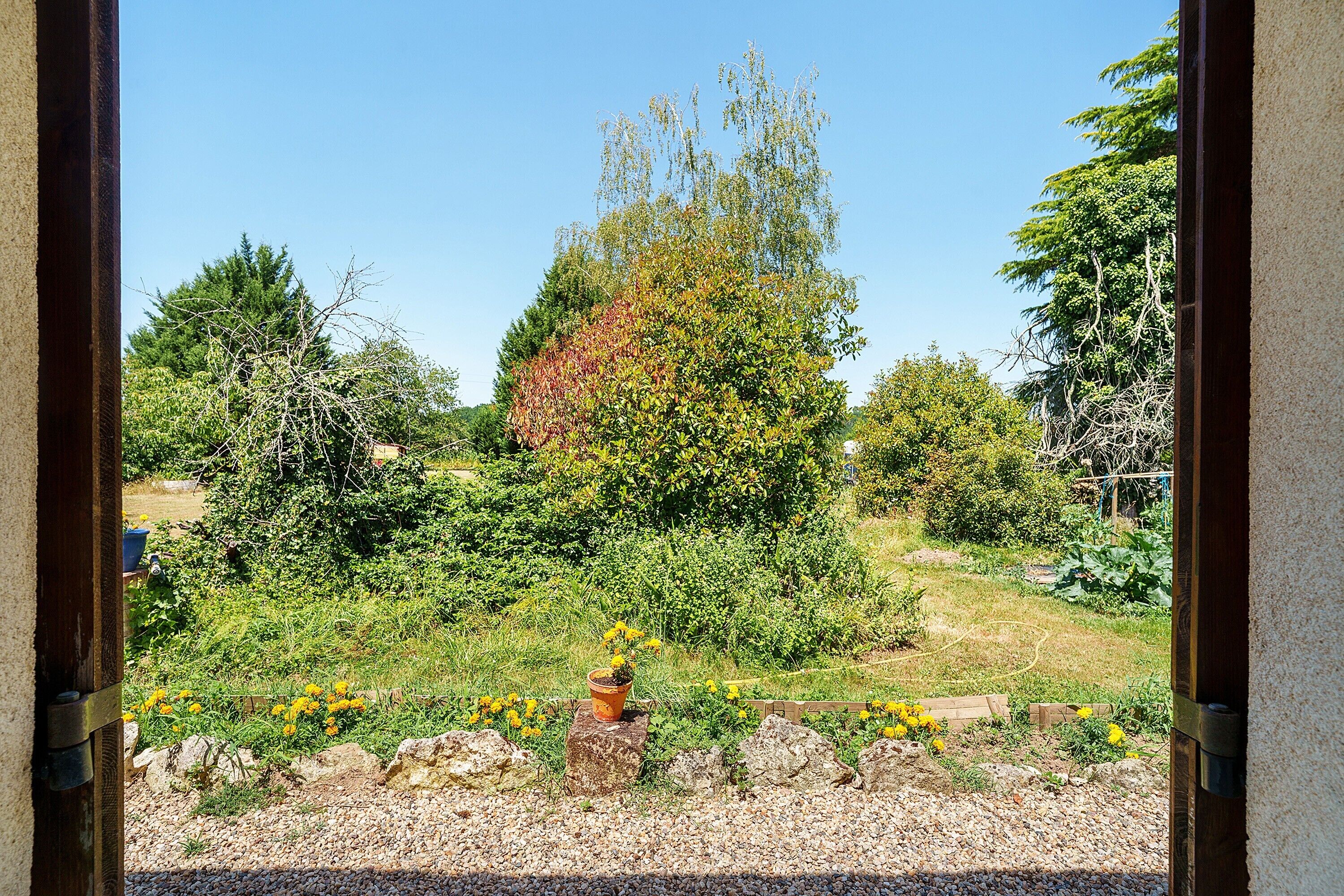 Blick auf einen Garten mit verschiedenen Pflanzen und einem Baum.
