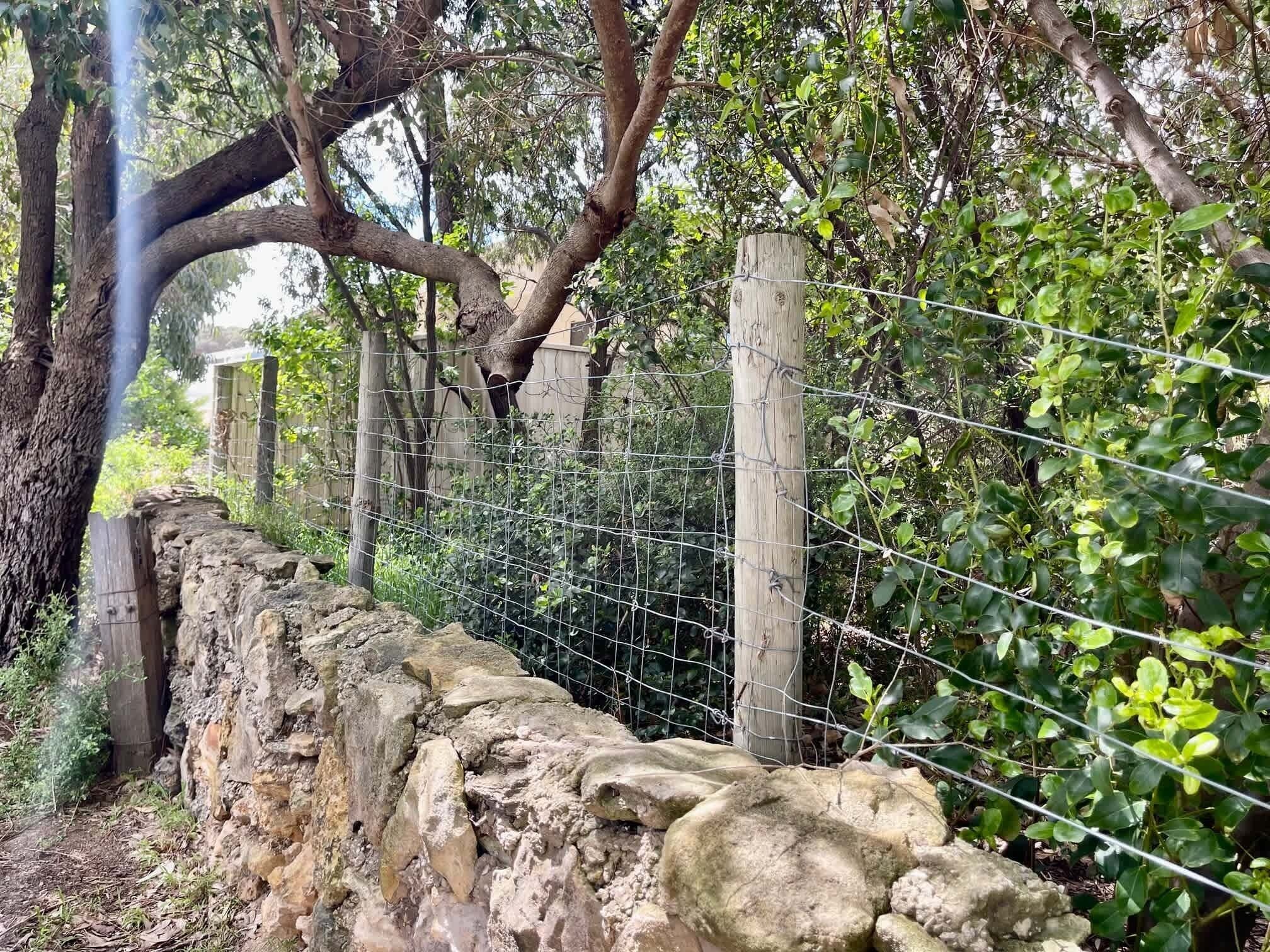 Un muro de piedra, una valla de madera y follaje denso.