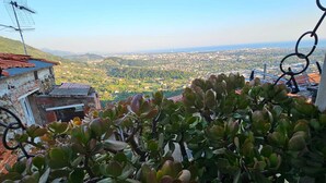 A balcony with potted plants, a metal railing, and a view of a distant cityscape.