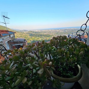 Exterior detail - Luxury Apartmen - Colli di Luni and Riviera Apuana (Nicola)