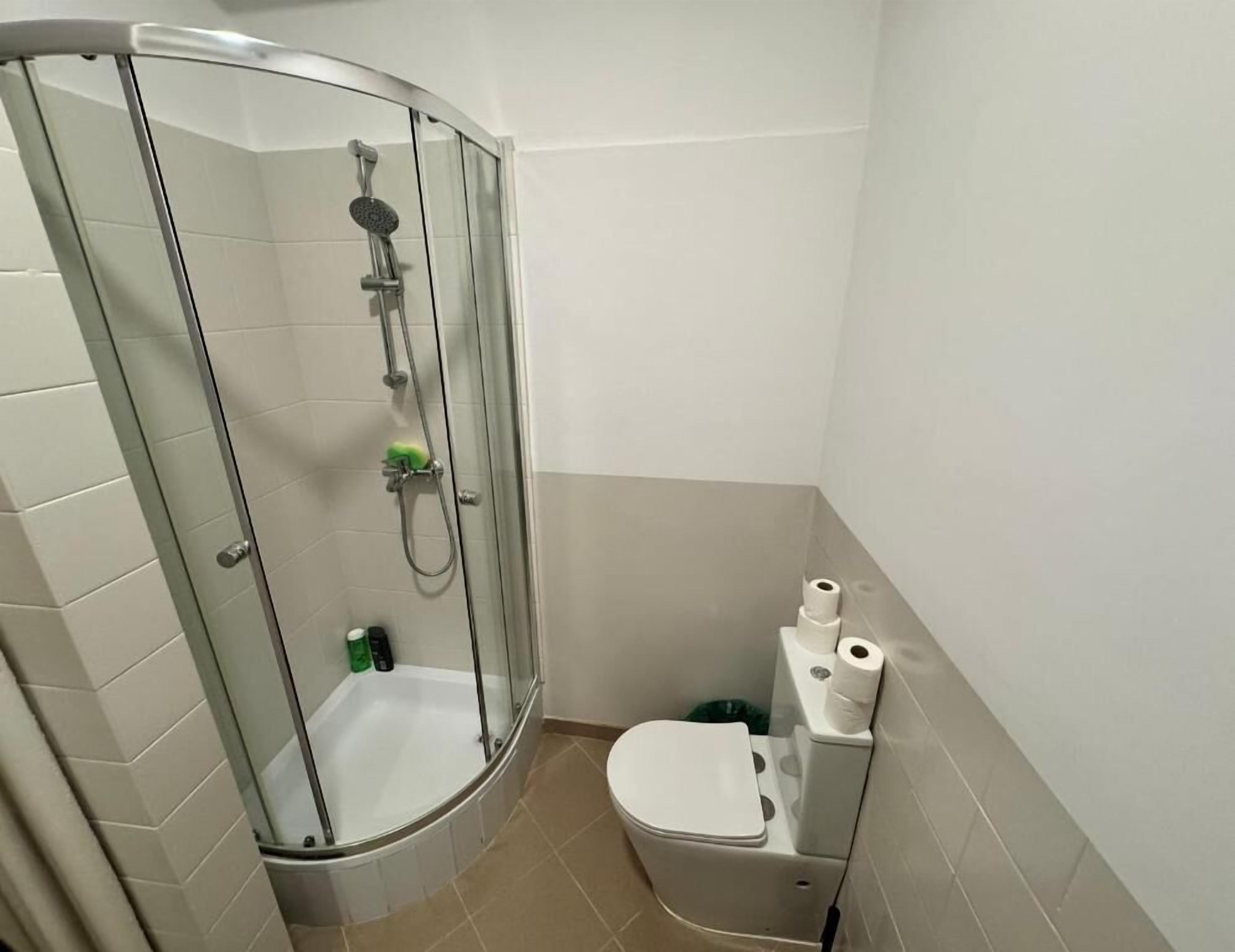 Hair dryer, towels, soap, toilet paper