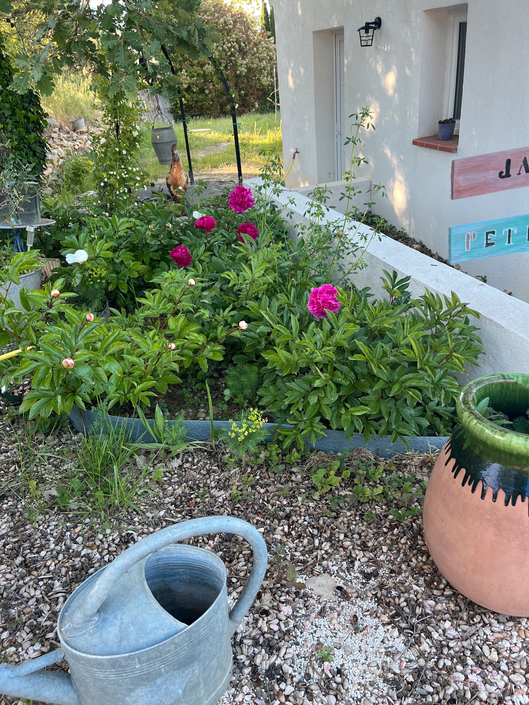 Details aan de buitenkant