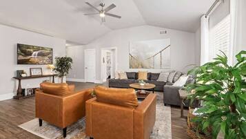 TV, fireplace, books, offices