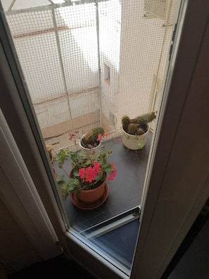 Shared Dormitory, 1 Bedroom, Balcony | Interior