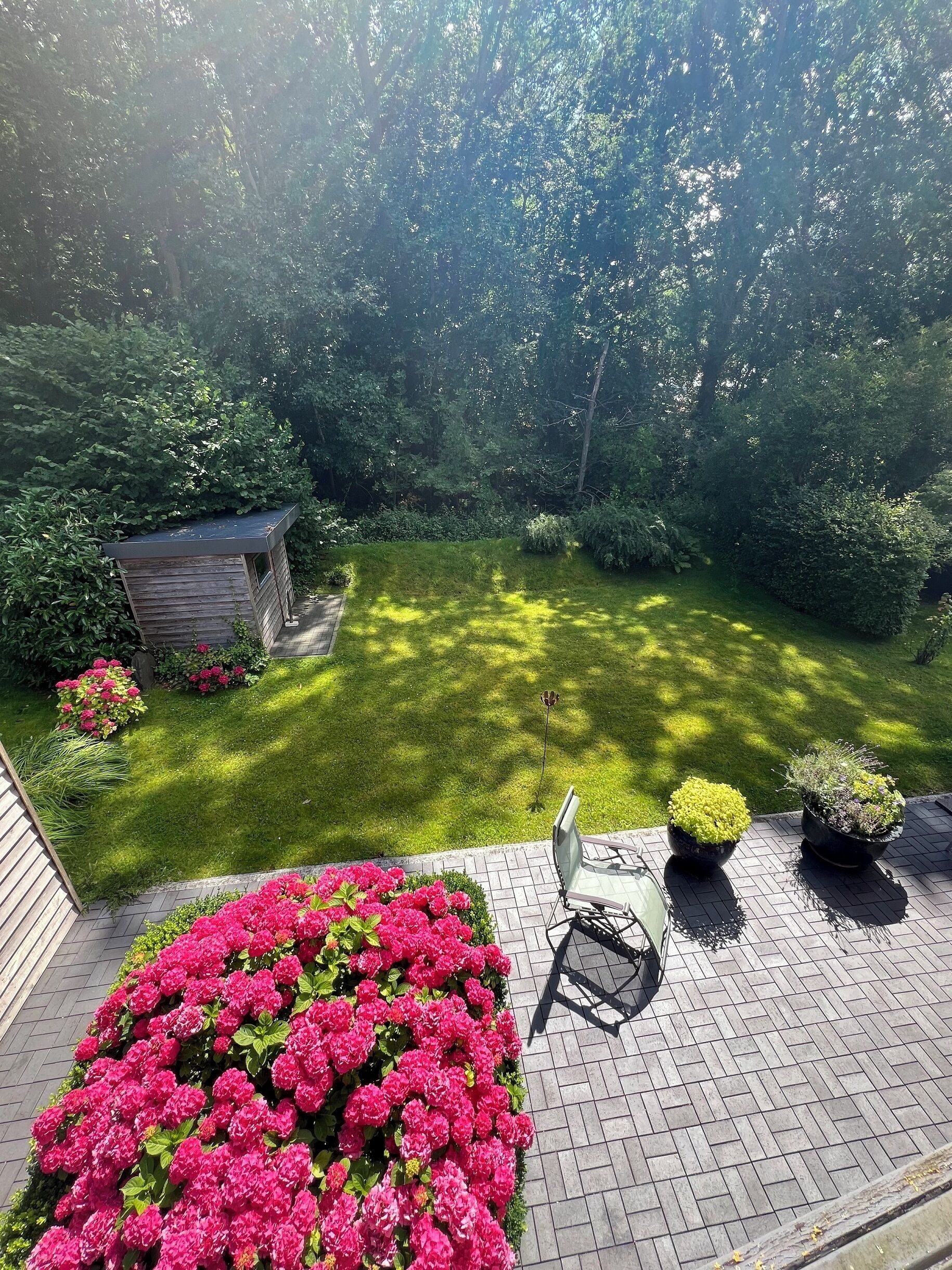 A garden with a wooden shed, a lawn, and potted plants.
