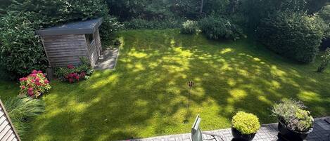 A garden with a wooden shed, a lawn, and potted plants.