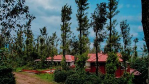 A rural setting with a dirt path leading to a cluster of red-roofed buildings surrounded by tall trees and greenery. - Anvitha Mansions (Chikkamagaluru)