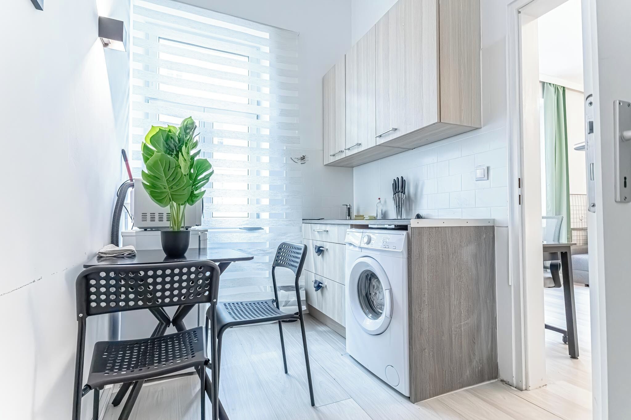 Une cuisine compacte équipée d’un lave-linge, un coin repas avec une table et des chaises, et une plante en pot.