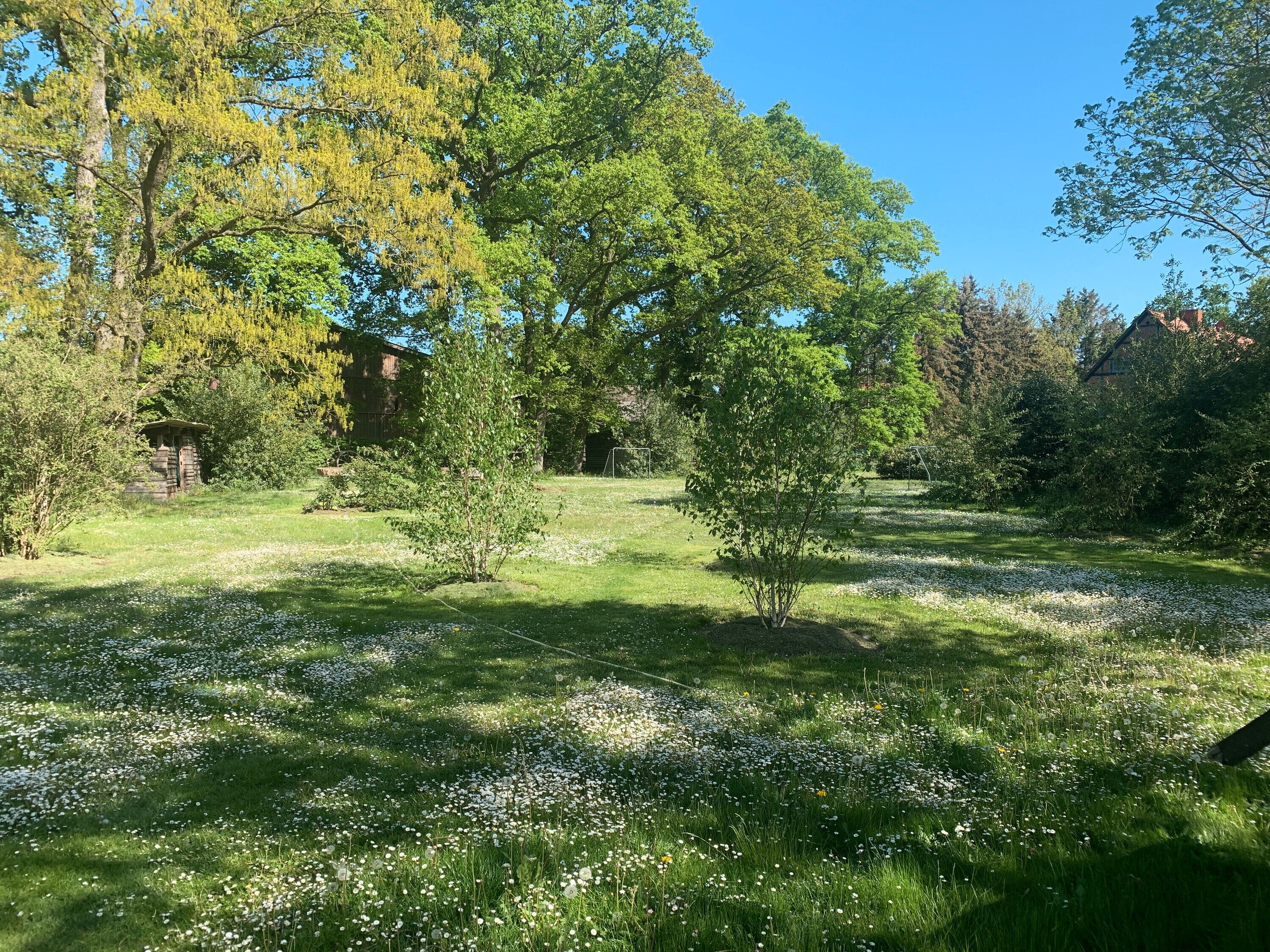 Jardines del alojamiento