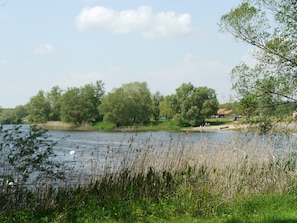 A calm lake with trees and a grassy area.