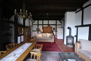 TV, fireplace, DVD player, ping pong