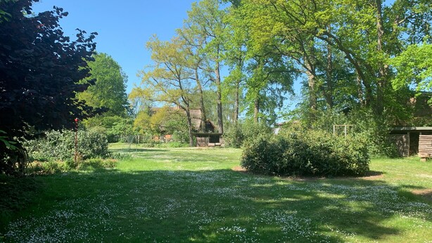 Eine grüne Fläche mit vereinzelten weißen Blüten, Bäumen und einer Holzhütte im Hintergrund.