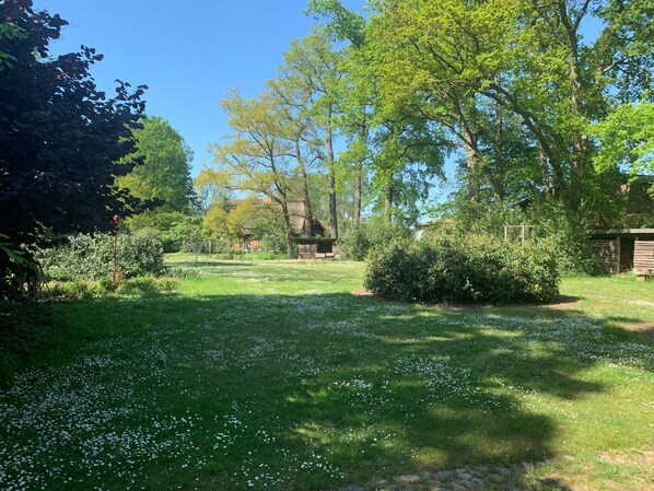 Eine grüne Fläche mit vereinzelten weißen Blüten, Bäumen und einer Holzhütte im Hintergrund.