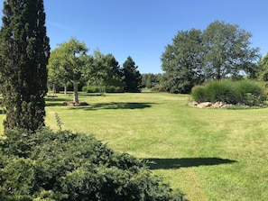 Eine gepflegte Grünfläche mit Bäumen und Sträuchern, vermutlich ein Park oder Garten.
