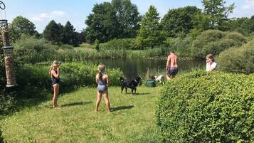 Property grounds