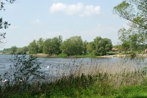 Ruhiger See mit Bäumen, Schilf und einer entfernten Uferlinie mit Gebäuden.