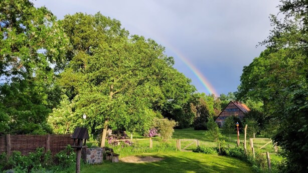 Paisaje rural con una casa, abundante vegetación y un arcoíris.
