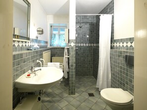 Shower, free toiletries, hair dryer, bathrobes