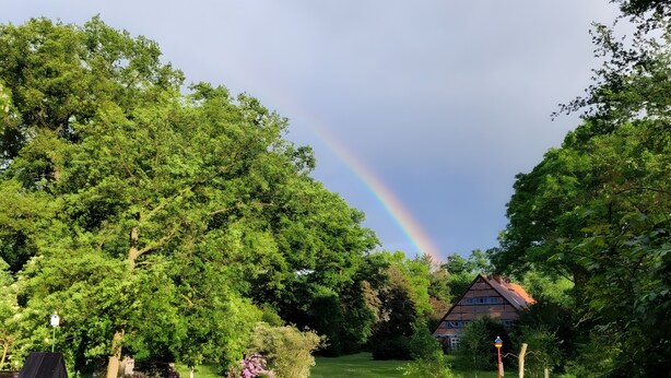 En frodig have med et regnbue, en træhegn og et hus i baggrunden.