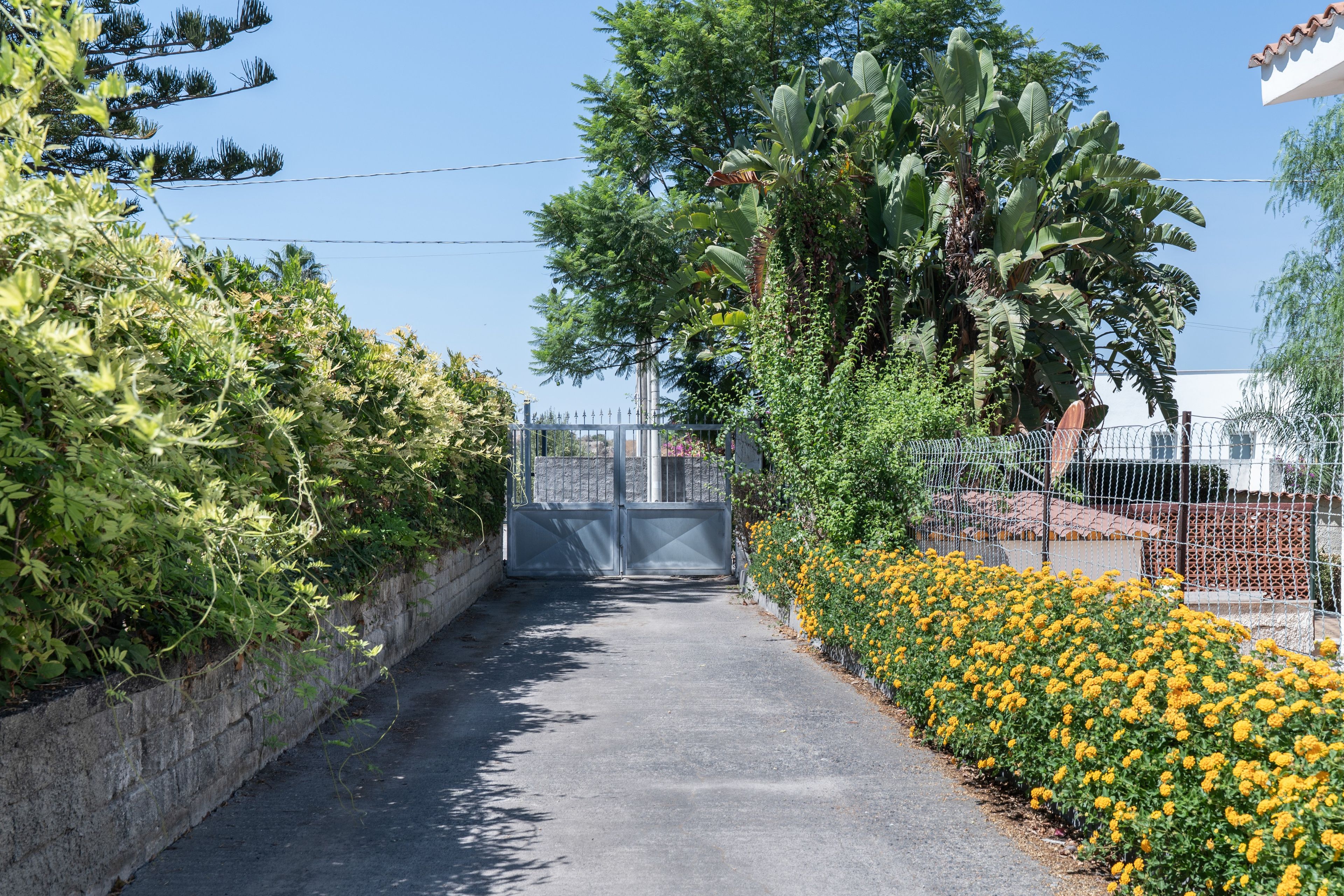 A paved pathway leading to a gated entrance, surrounded by dense foliage and flowering plants.