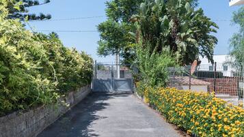 A paved pathway leading to a gated entrance, surrounded by dense foliage and flowering plants.