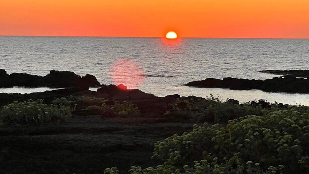 A sunset over a rocky coastline with vegetation in the foreground.