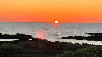 Tramonto su una costa rocciosa con vegetazione in primo piano.