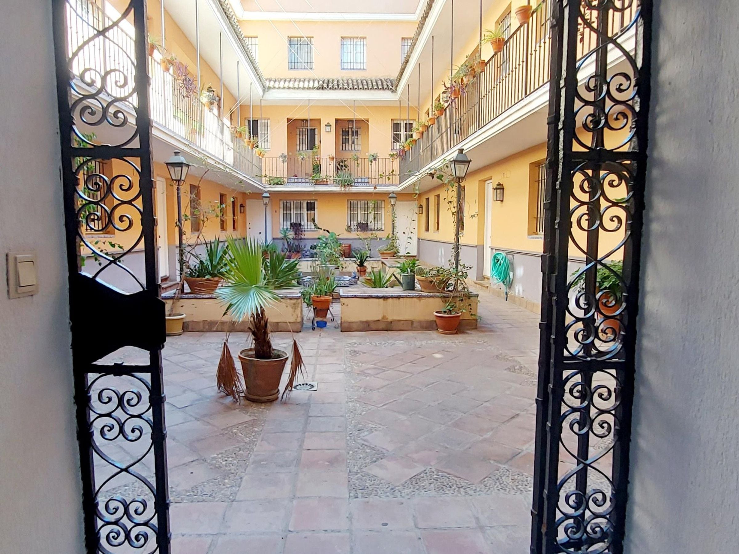 A courtyard with potted plants, a tiled floor, and a view of the building's interior.