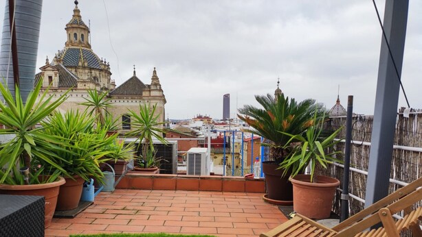 A rooftop terrace with potted plants, a wooden chair, and a view of a historic building. - Duplex with Private Terrace in Seville Center (Sevilla)