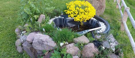 المنطقة المحيطة بالمنشأة