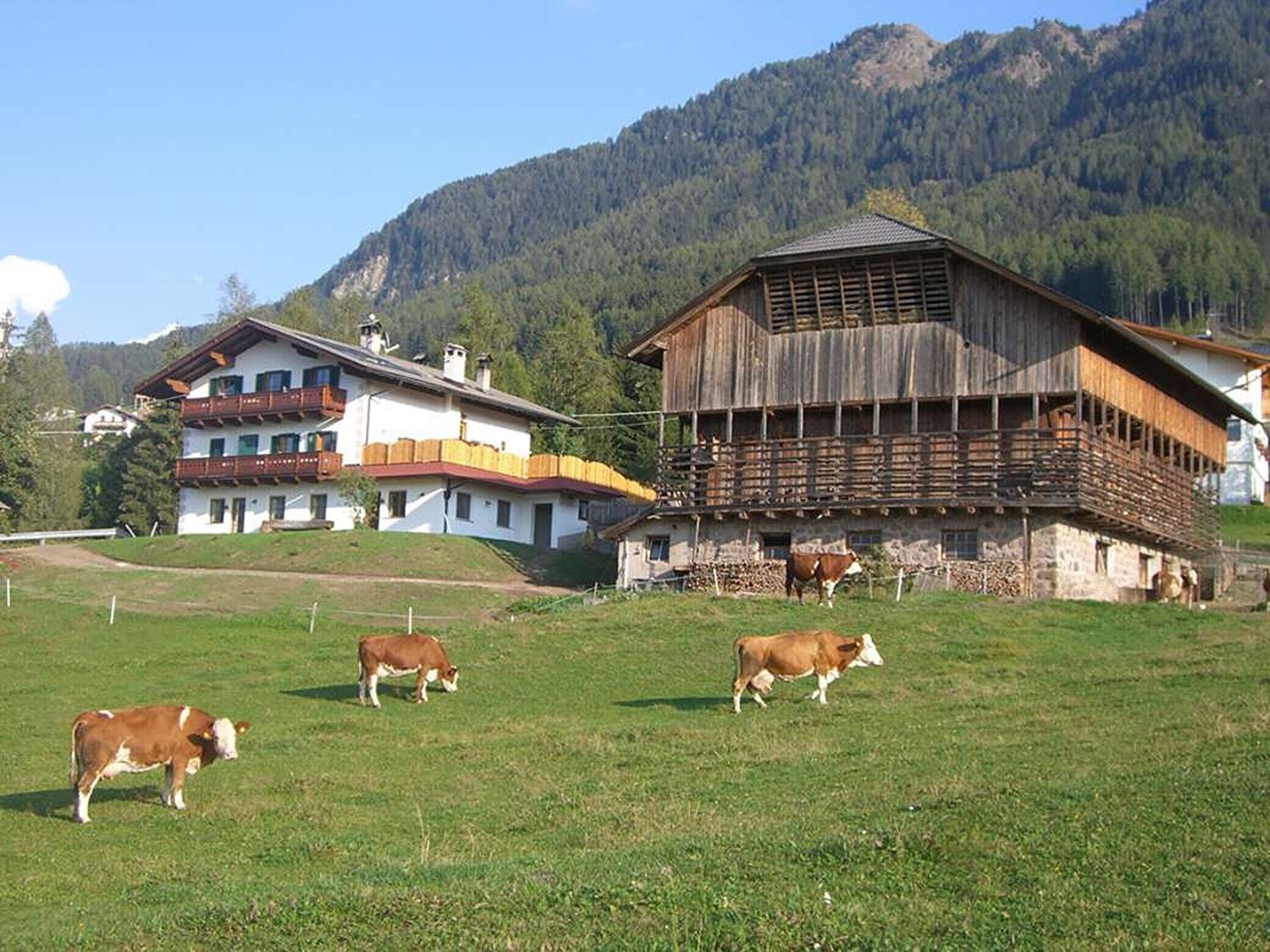 Außenbereich