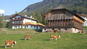 Außenbereich