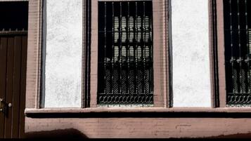 Detall de l'exterior