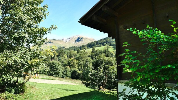 A view from a wooden cabin with a grassy yard and trees, overlooking a mountainous landscape. - 6-person apartment in quiet chalet near slopes (Le Grand-Bornand)