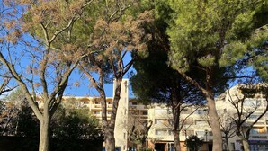 Un parc avec des arbres, un banc et, au fond, un immeuble doté de balcons.