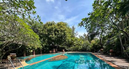 Rainbow Arokaya Welness Resort