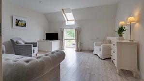 Une pièce spacieuse avec un lit en mezzanine, un fauteuil gris, un canapé blanc, une télévision et une fenêtre avec des rideaux.