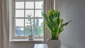 Une pièce avec une grande fenêtre, une table blanche et deux plantes en pot.