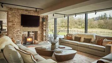 TV connectée, cheminée, lecteur de DVD, livres