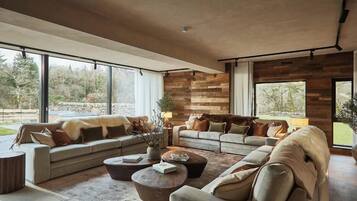 Smart TV, fireplace, DVD player, books