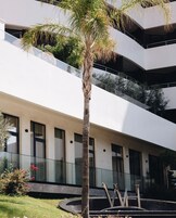 A modern building with a central palm tree, multiple balconies, and a circular water feature.