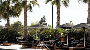 A pool area with lounge chairs and umbrellas, surrounded by palm trees. - White Hill Hotel Spa & Conference (Durres)