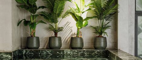 Tina de hidromasaje interior