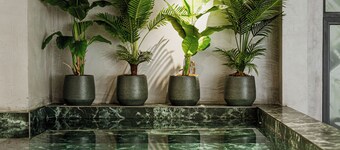 White Hill Hotel Spa & Conference