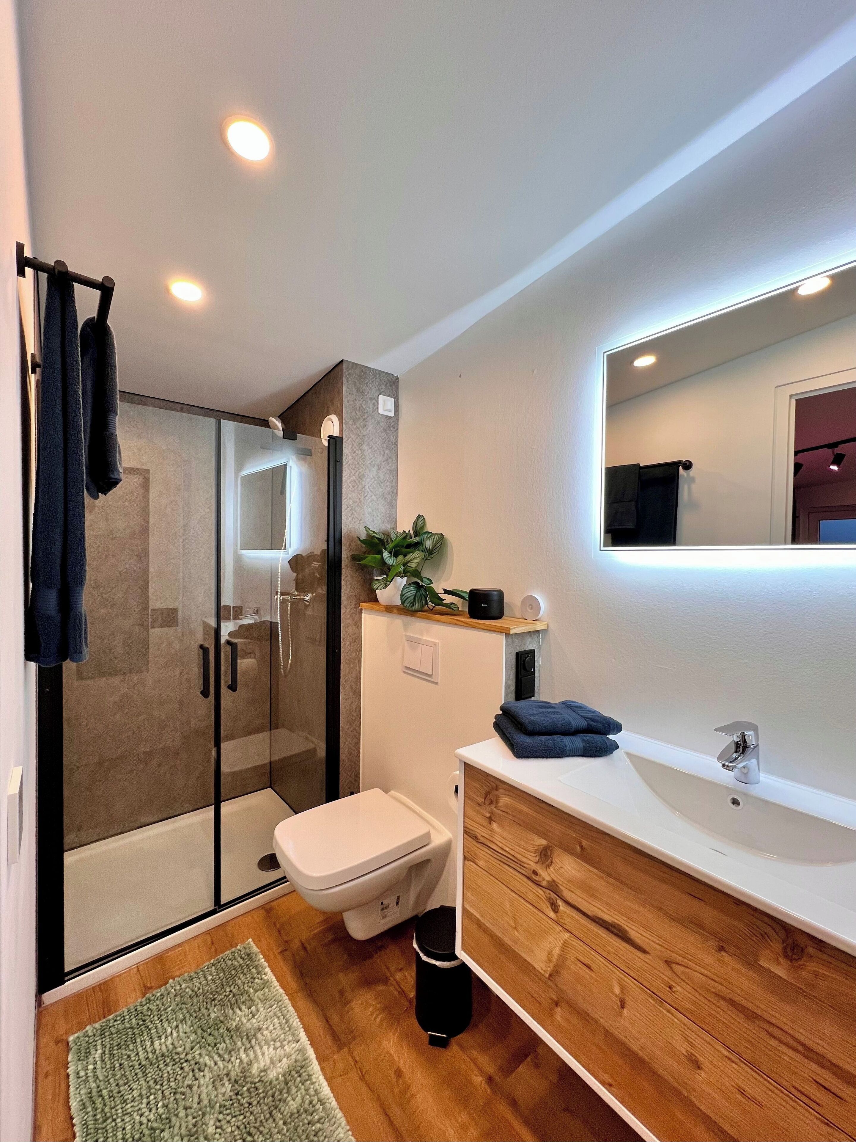 シャワー、タオル、トイレットペーパー