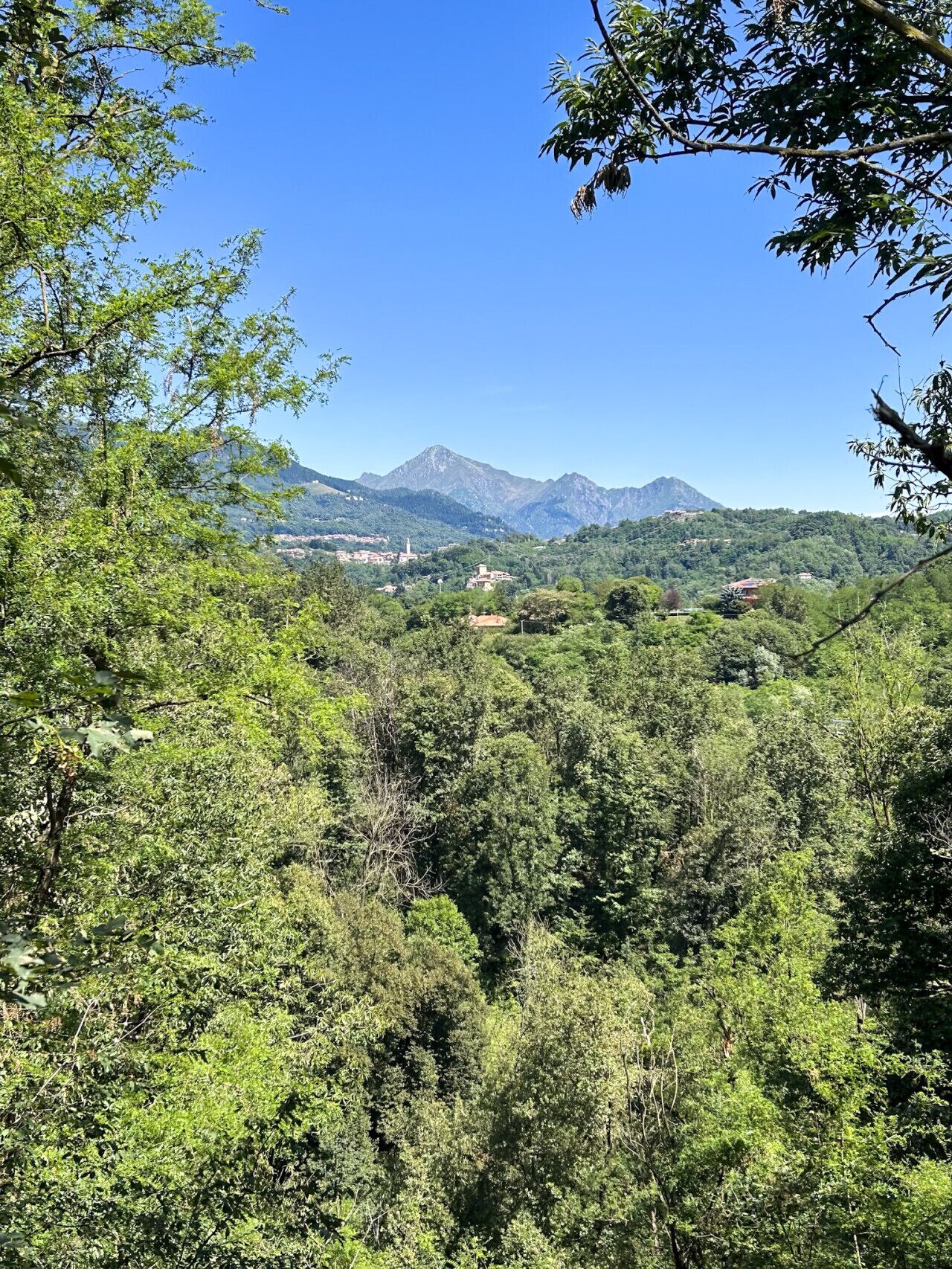 A mountainous landscape with dense forest and a clear sky.