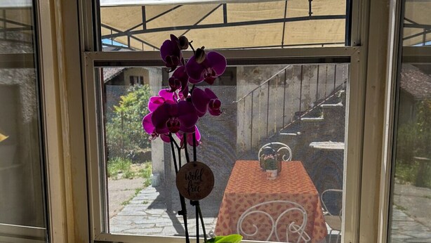 Une fenêtre ornée d’une orchidée en pot et d’un petit bocal posé sur le rebord.