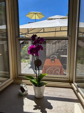 A window with a potted orchid and a small jar on the sill.
