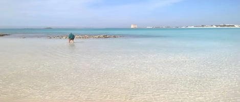A beach with clear shallow waters and a person walking towards the water.