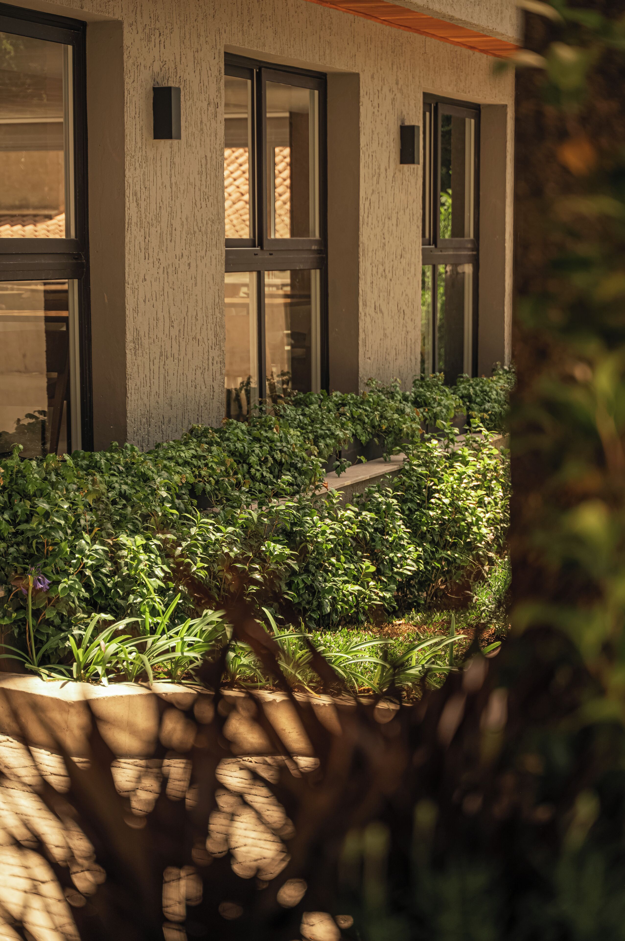 Um edifício com grandes janelas e um jardim bem cuidado, com diversas plantas.